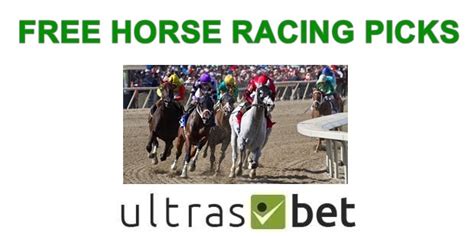 myracing greyhounds|best free horse racing picks.